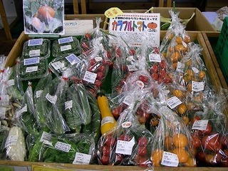 地物野菜