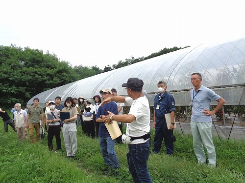 6年夏期研修