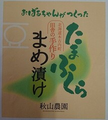 まめ漬けデザイン