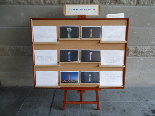 実物写真