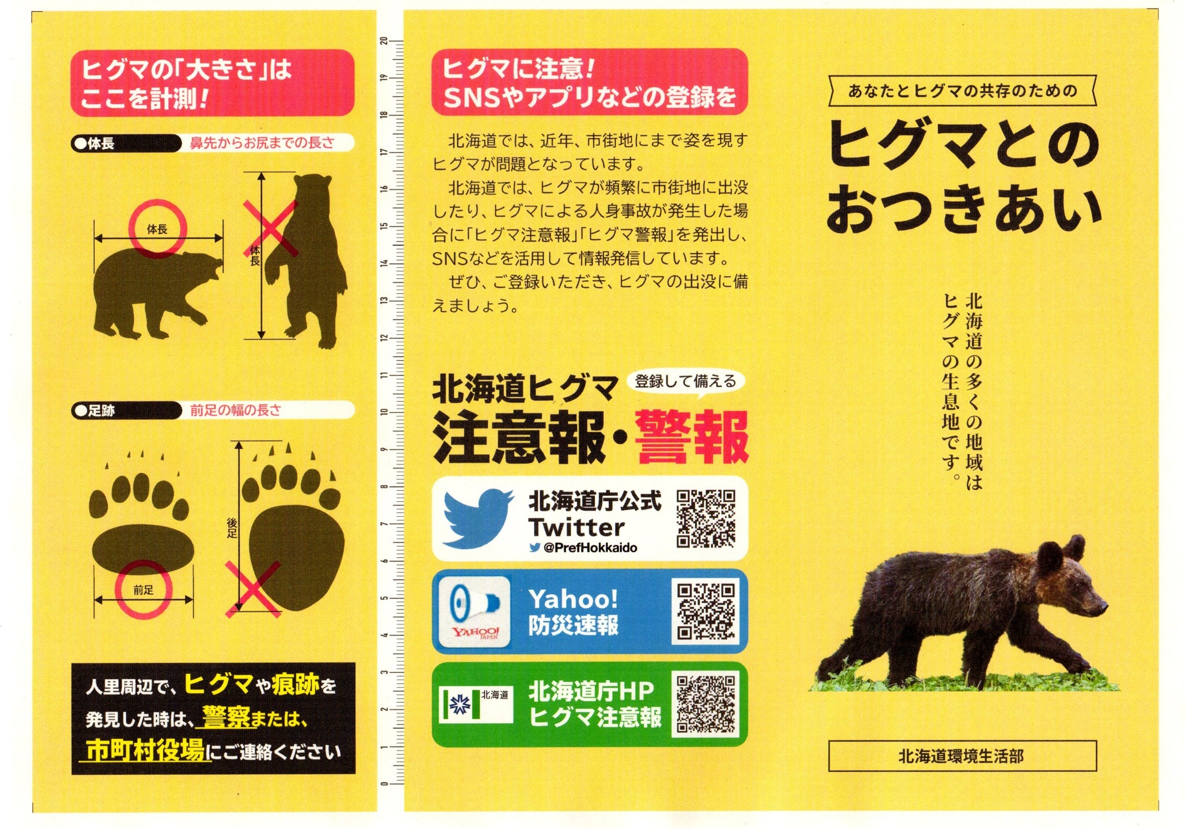 ヒグマリーフレット（ひぐまとのおつきあい）