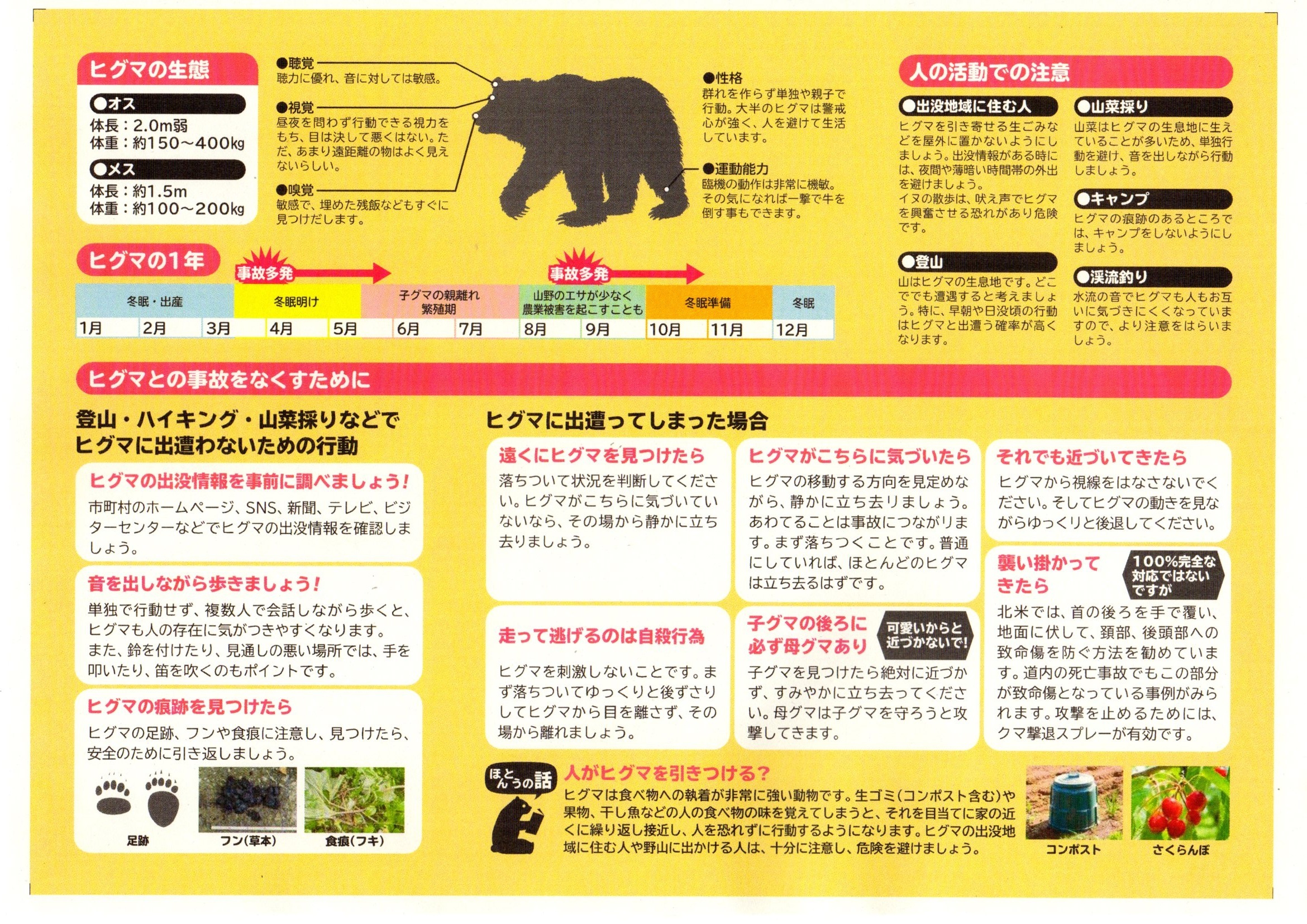 ヒグマリーフレット（ヒグマとのおつきあい）
