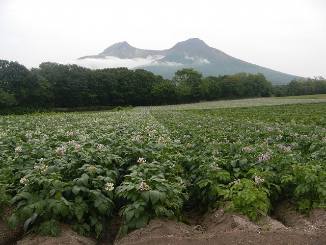 駒ヶ岳640*640