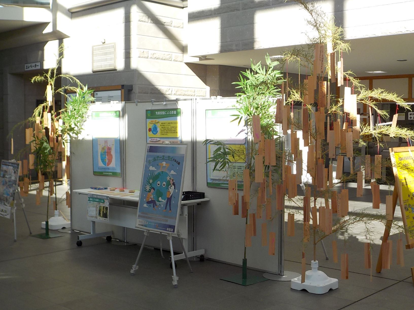 笹の展示