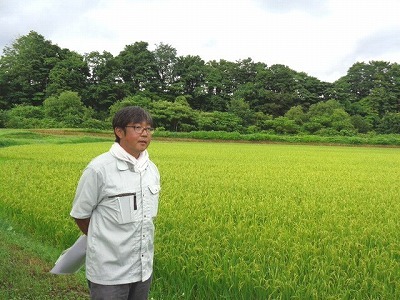 金谷農場で自然栽培の田んぼを見学