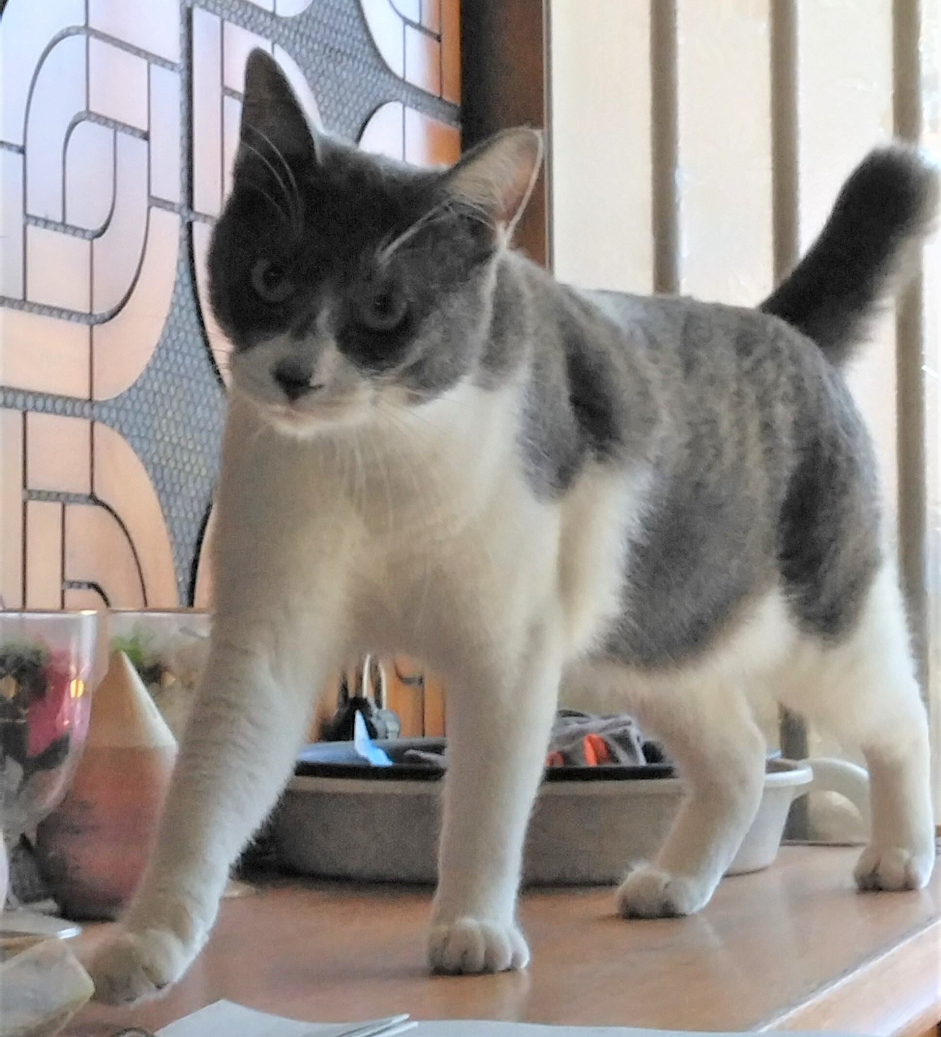 C7-4サムネイル.jpg