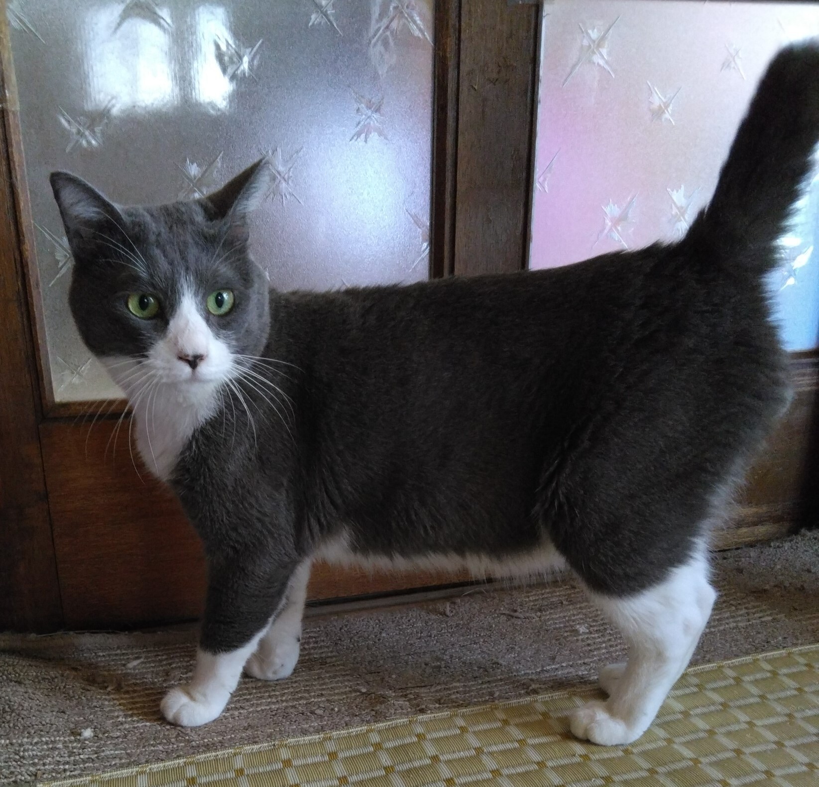 C7-6サムネイル.jpg