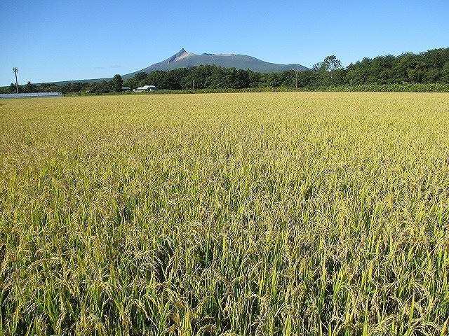 駒ヶ岳640*640