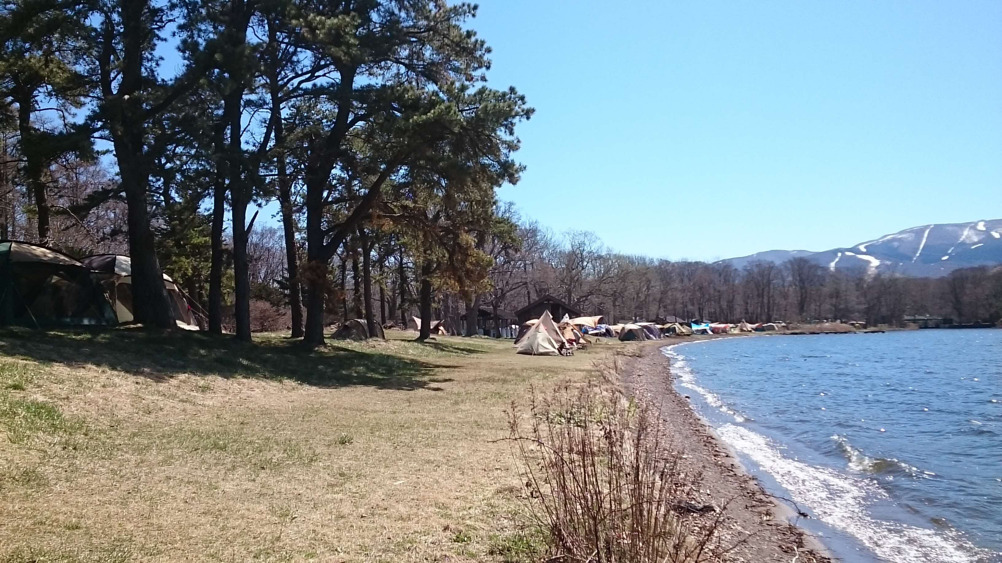 キャンプ場全景