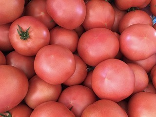 完熟大玉トマト