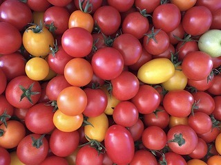 カラフルなミニトマト