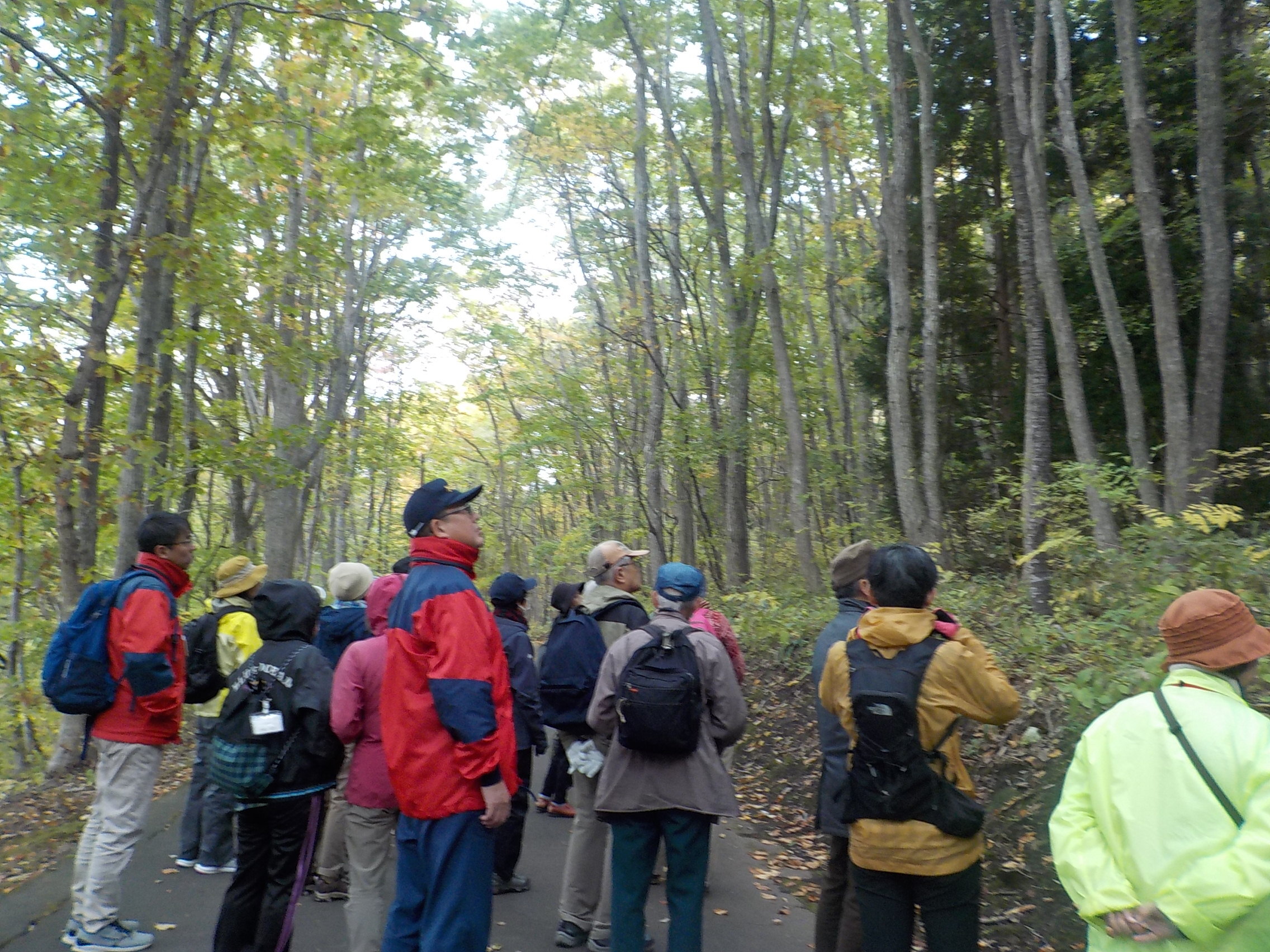 森林散策の様子