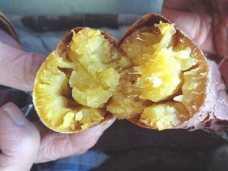 トロ～り美味しい「シルクスイート」焼き芋