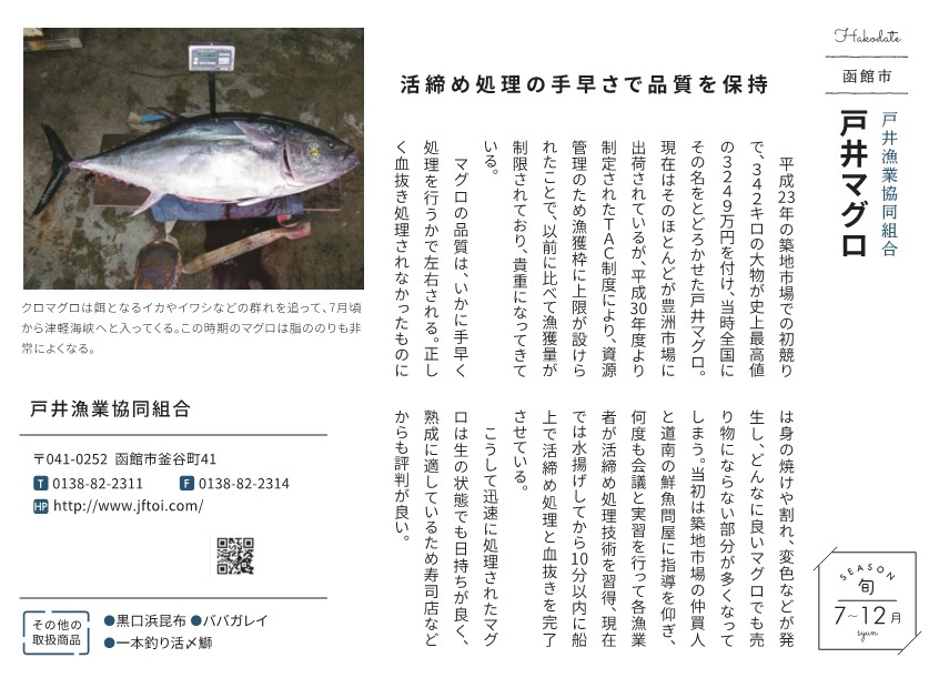new020b戸井マグロ