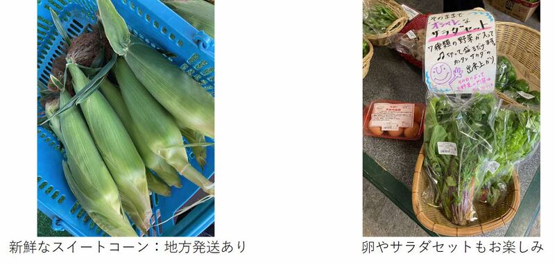 コーンとサラダセット