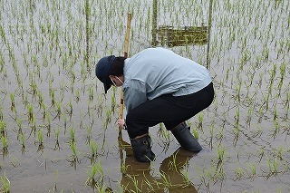 調査の様子