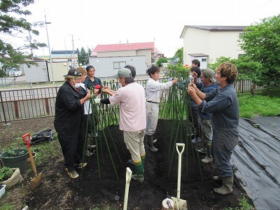 4Hクラブ員準備作業