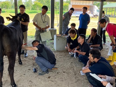 北海道酪農畜産協会白澤氏から「牛の毛刈り」を学ぶ真剣な眼差しの参加者