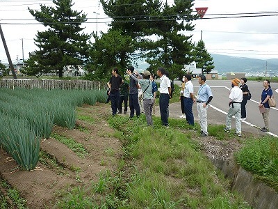 実証ほの経過確認