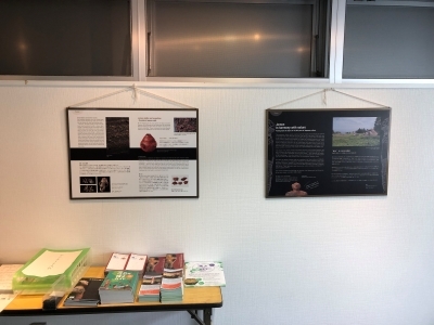 北海道・北東北の縄文遺跡群」世界遺産登録2周年 特設ページ - 渡島